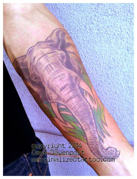 5elephant