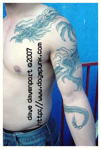 6stevedragon