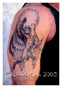 8angel