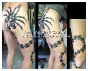 7facehugger